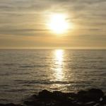 cambria_336 (November 03, 2018)